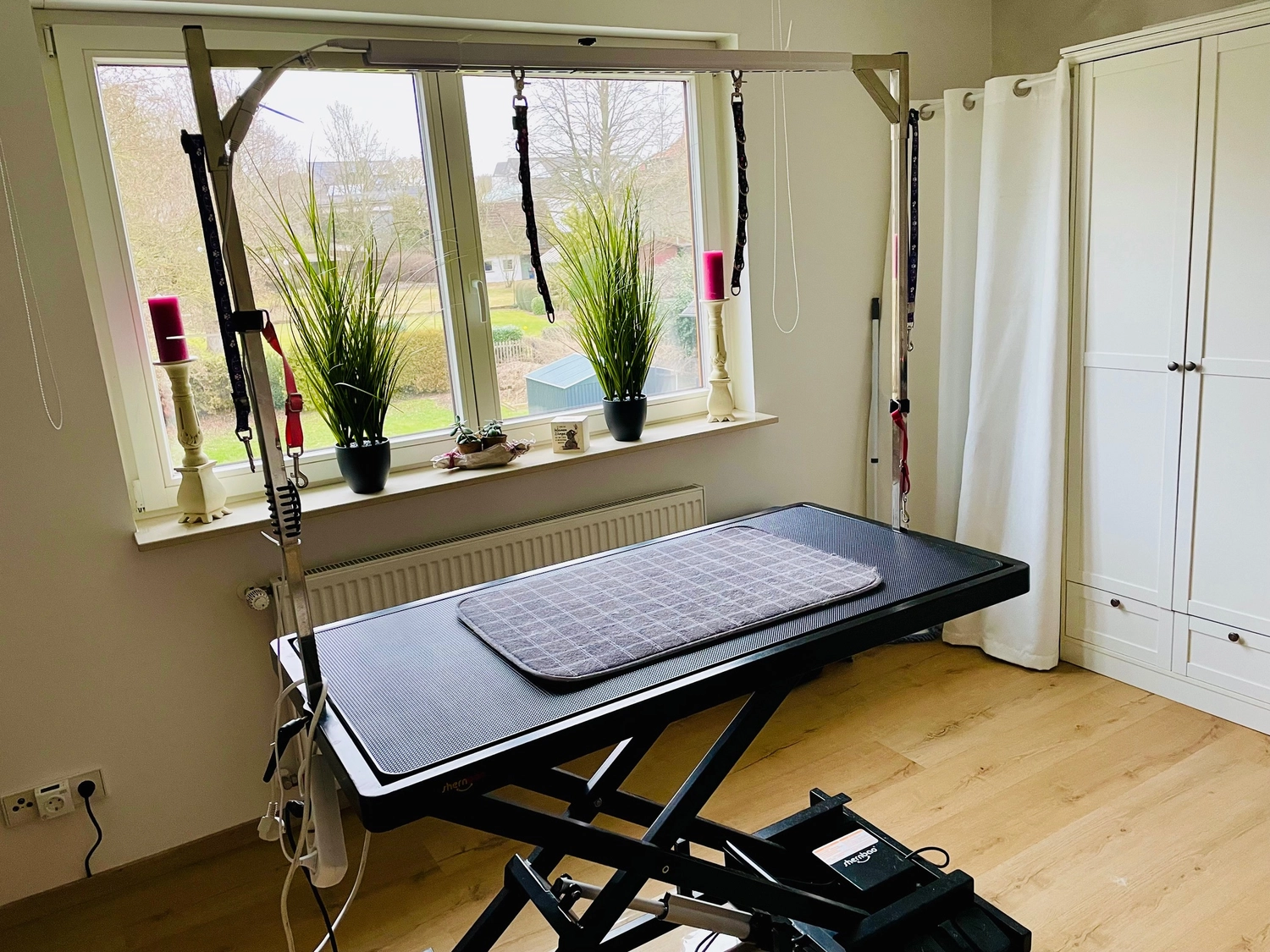 Hundesalon Knutschnase — Fellpflege — Welpeneingewöhnung