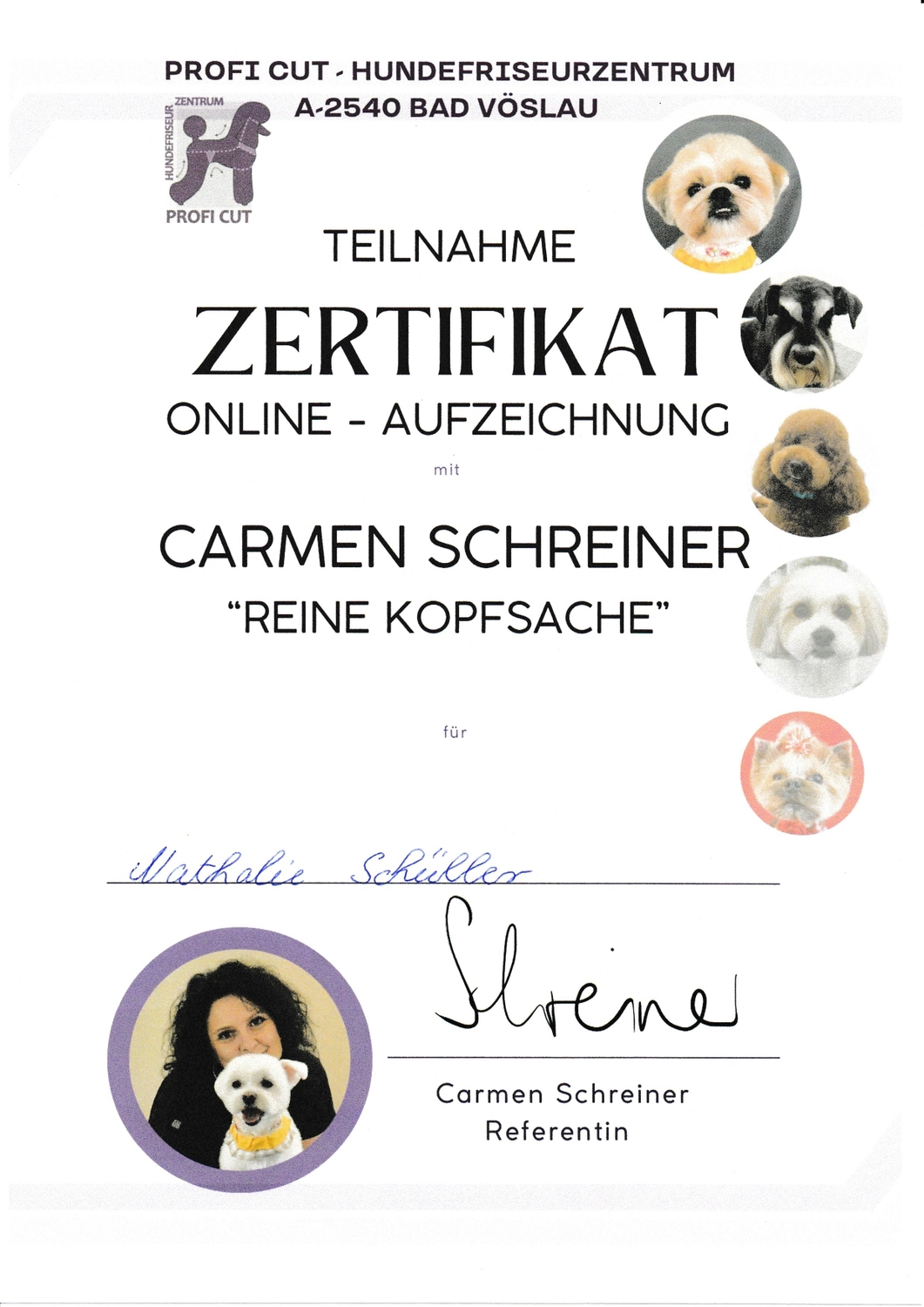 Hundesalon Knutschnase — Fellpflege — Zertifikate