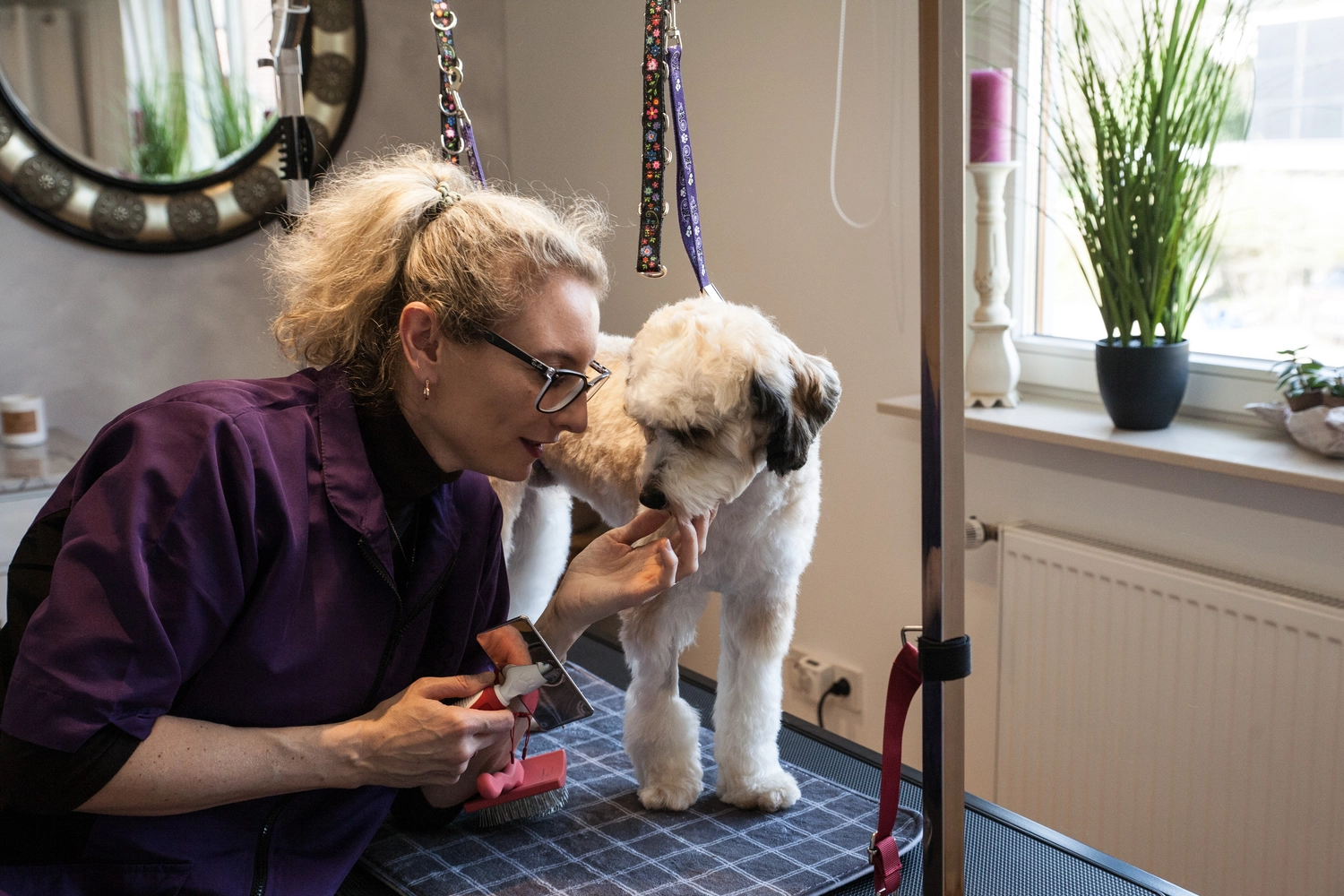 Hundesalon Knutschnase — Fellpflege — Trockenschur