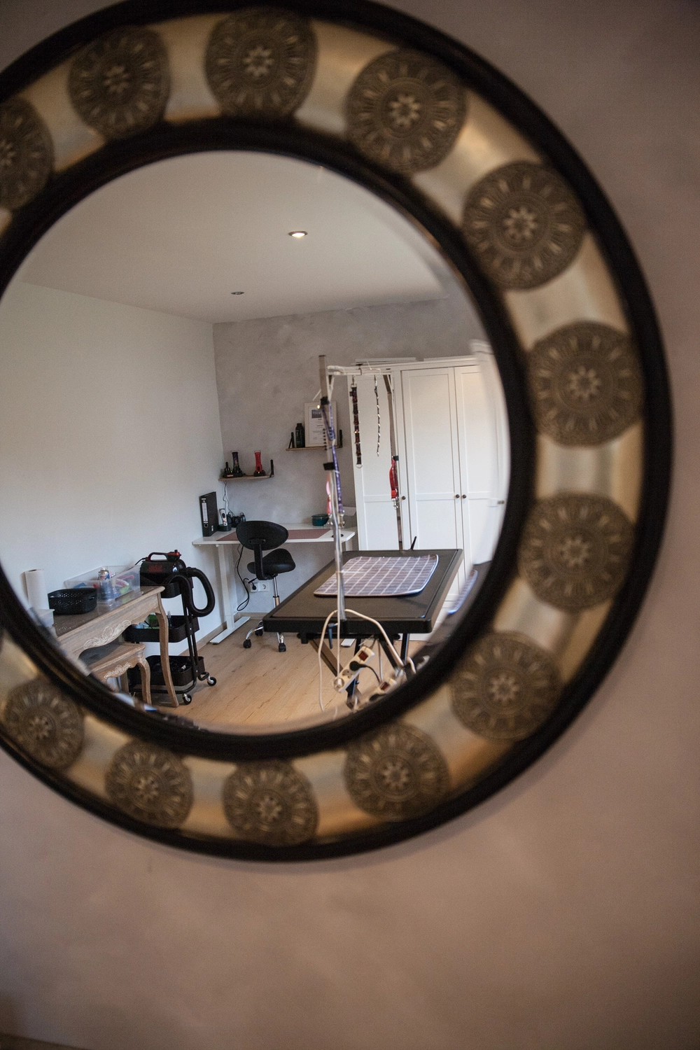 Hundesalon Knutschnase — Fellpflege — Filzschur